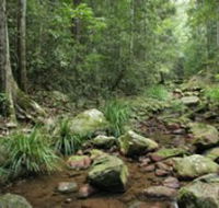 Amamoor State Forest - Holiday Cairns