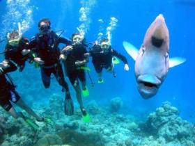 Jew Shoal Dive Site - Holiday Cairns 0