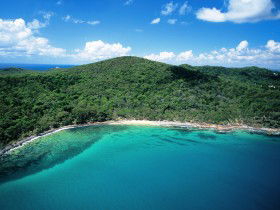 Noosa Heads Coastal Track - Holiday Cairns 0