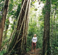 Wet Tropics - Holiday Cairns
