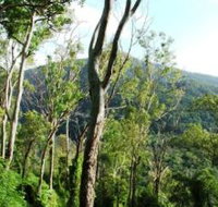 Smiths Track Barron Gorge National Park - Holiday Cairns