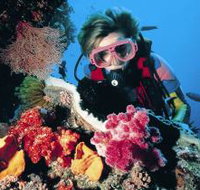 Osprey Reef - Holiday Cairns