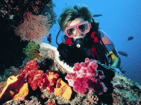 Osprey Reef - Holiday Cairns 0