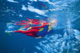 Pixie Pinnacle Dive Site - Holiday Cairns 0