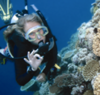 Moore Reef Dive Site - Holiday Cairns