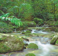 Mossman Gorge Daintree National Park - Holiday Cairns