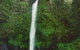 Nandroya Falls Circuit Track, Wooroonooran National Park - thumb 0