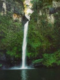 Nandroya Falls Circuit Track, Wooroonooran National Park - Holiday Cairns 0