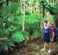 Mount Sorrow Ridge Trail Daintree National Park - Holiday Cairns