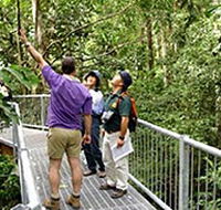 Daintree Discovery Centre - Holiday Cairns