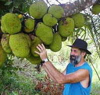 Cape Trib Exotic Fruit Farm - Holiday Cairns