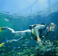 Tijou Reef - Holiday Cairns