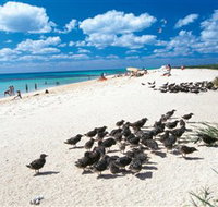 Michaelmas and Upolo Cays National Park - Holiday Cairns