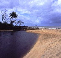 Russell River National Park - Holiday Cairns
