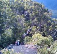 Mia Mia State Forest - Holiday Cairns