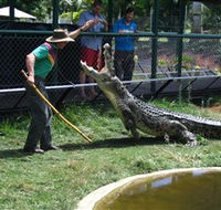 Snakes Downunder Reptile Park and Zoo - Holiday Cairns