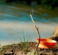 Charleville - Mangalore Warrego River Fishing Spot - Holiday Cairns