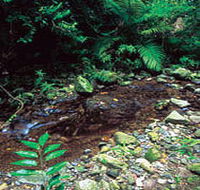 Wompoo Walk - Holiday Cairns