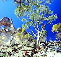 Mount Moffatt Section - Carnarvon National Park - Holiday Cairns