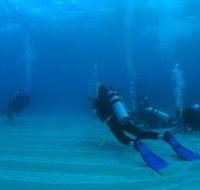 Child Island Dive Site - Holiday Cairns