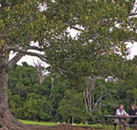 Ravensbourne National Park - Holiday Cairns