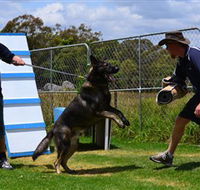 Lawdogs Australia - Holiday Cairns