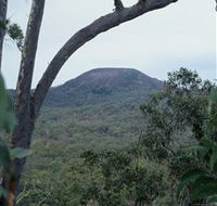 Mount Fox - Holiday Cairns