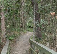 Springwood Conservation Park - Holiday Cairns