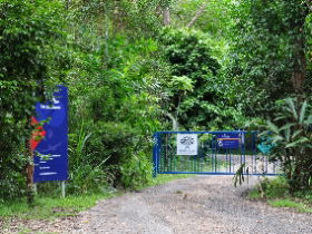 The Bat Hospital Visitor Centre - Holiday Cairns 0