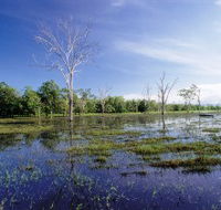 Tyto Wetlands - Holiday Cairns