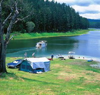 Danbulla National Park and Danbulla State Forest - Holiday Cairns