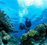 Coral Gardens Dive Site - Holiday Cairns