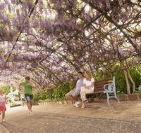 Laurel Bank Park - Holiday Cairns