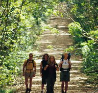 Wet Tropics Great Walk - Holiday Cairns