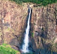 Buujan Quiinbiira Walk Wet Tropics Great Walk - Holiday Cairns