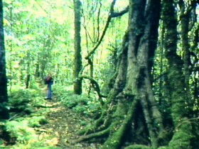 Aratula Primary QLD Holiday Cairns