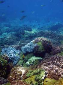 Bargara QLD Holiday Cairns