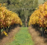 Wild Dog Winery  Restaurant - Holiday Cairns
