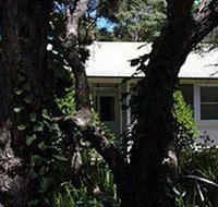 Melaleuca Gallery - Holiday Cairns