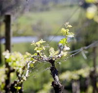 Norton Estate Wines - Holiday Cairns