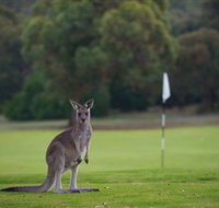 Anglesea Golf Club - Holiday Cairns