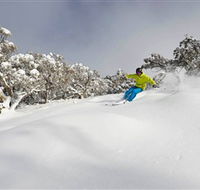 Mt Buller and Mt Stirling Alpine Resort - Holiday Cairns