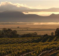 Montara Wines - Holiday Cairns
