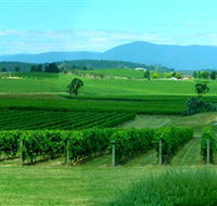 Acacia Ridge Vineyard - Holiday Cairns