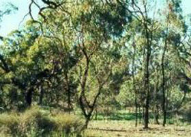 Kerang East VIC Holiday Cairns