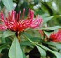 Alfred National Park - Holiday Cairns
