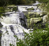 Agnes Falls Scenic Reserve - Holiday Cairns