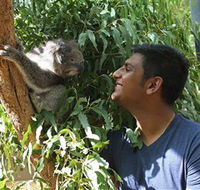 Healesville Sanctuary - Holiday Cairns
