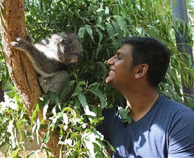 Healesville Sanctuary - Holiday Cairns 0
