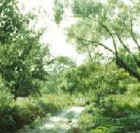 Holey Plains State Park - Holiday Cairns